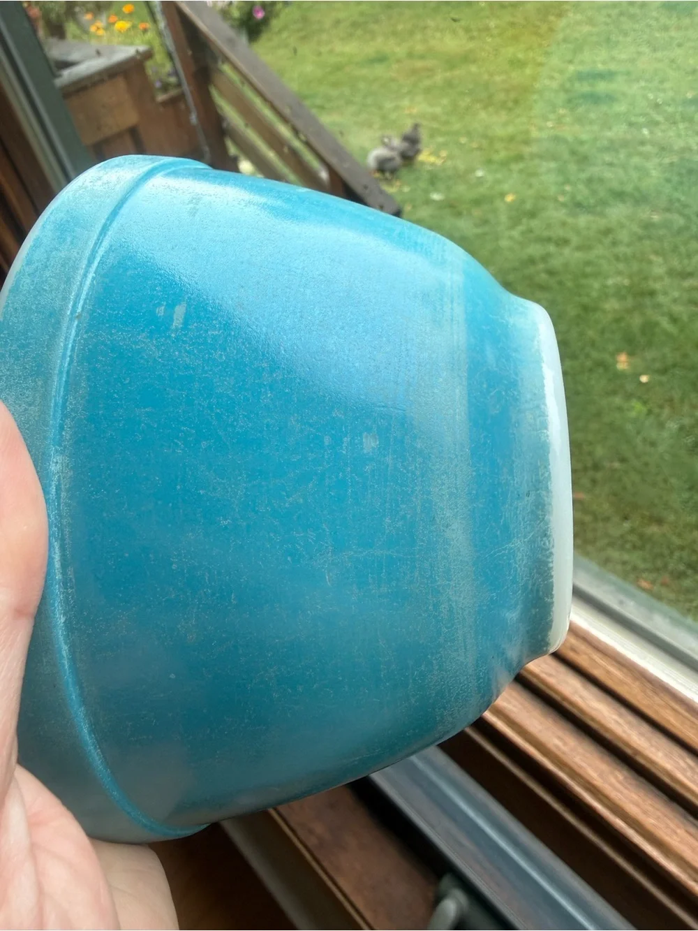 Pyrex bright blue